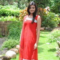 Nikitha Narayan New Pictures | Picture 68831